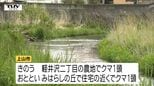 未明に上山市の住宅街でクマ1頭目撃　米沢市ではクマ2頭目撃　県はクマ出没注意報を発令中（山形）|TBS NEWS DIG