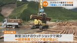 新型コロナにウクライナ侵攻余波…ロシアの木材輸入禁止で国内の原木争奪戦 三重の名木「尾鷲ヒノキ」も高騰 | 名古屋・愛知・岐阜・三重のニュース【CBC news】 | CBC web