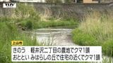 未明に上山市の住宅街でクマ1頭目撃　米沢市ではクマ2頭目撃　県はクマ出没注意報を発令中（山形）　|　山形のニュース│TUYテレビユー山形