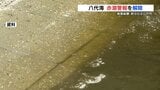 八代海の赤潮警報解除 　12月からアコヤガイ約51万個死ぬ 被害額は約8680万円に　熊本　|　熊本のニュース｜RKK NEWS｜RKK熊本放送