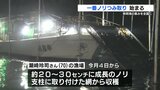「有明海の恵みを全国に」 一番ノリのつみ取り始まる 熊本 | 熊本のニュース|RKK NEWS|RKK熊本放送