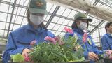 季節の花々でおもてなし 福岡・大分DCに向けて 高校生が歓迎の花を植栽 大分 | 大分のニュース|OBS NEWS|大分放送