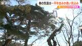 例年にない雪中の“観桜会”準備 積雪の多い地域では雪崩に注意!各地で気温上昇 新潟県内 3か月予報も発表 今夏は気温が高くなる可能性も|TBS NEWS DIG