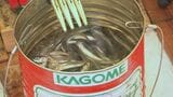 【速報】暖冬の影響で氷が薄く・・・人気スポット「大志田ダム(菜魚湖)」 今季のワカサギ釣り中止を決定 岩手・一戸町|TBS NEWS DIG