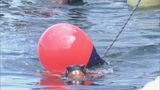 15キロの重りを抱えて泳ぐ…海上保安庁と消防の潜水士が合同訓練　甚大化する自然災害に備えて体力作り　|　名古屋・愛知・岐阜・三重のニュース【CBC news】 | CBC web