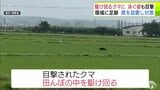 駆けまわるクマ…泳ぐ姿も目撃 現場に足跡 罠を設置し対策|TBS NEWS DIG