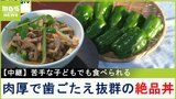 【中継】収穫最盛期!肉厚・みずみずしい・苦みが少ない 関西随一の地域ブランド『たじまピーマン』で絶品丼づくり!兵庫・豊岡市 【川地洋平の最旬!丼マン】|TBS NEWS DIG