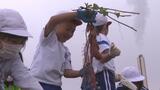 「やばい、でかい！」自分たちで植えたサツマイモ　小学生が収穫　福島　|　福島のニュース│TUF