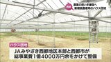 農業の担い手確保へ 新規就農者のためのハウス団地が西都市に整備 | MRTニュース | MRT宮崎放送
