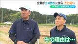 増産決定の一方で減少し続ける米農家「コメが調達できなくなる」農家+米問屋のwin-win連携 新潟県 | 新潟のニュース・天気|BSN NEWS|BSN新潟放送