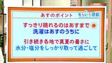 高知の天気 14日は全域で青空に 真夏の暑さは続く見込み 東杜和気象予報士が解説 | 高知のニュース・天気|KUTV NEWS | KUTVテレビ高知