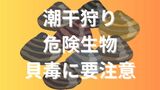 「潮干狩り」で遭遇する可能性のある危険生物や「貝毒」は大丈夫?連休お出かけ前のチェック項目【2025 GW 大潮】|TBS NEWS DIG