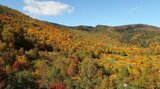 山肌をパレットに~色鮮やか岩手・八幡平の紅葉 御在所エリアはピーク 行楽客でにぎわう|TBS NEWS DIG