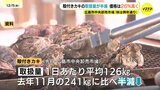 広島カキ大量死　殻付きカキ　11月取り扱い量は去年に比べ半減　価格は約26％ 値上がり|TBS NEWS DIG