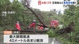 各地で倒木相次ぐ…台風12号で暴風警戒続く沖縄・石垣島 熱帯低気圧が今後台風へ 週末には列島に影響も|TBS NEWS DIG