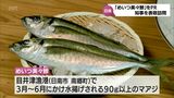 日南市南郷町のブランド魚「めいつ美々鯵」をPR 漁業関係者らが河野宮崎県知事を表敬訪問 | MRTニュース | MRT宮崎放送