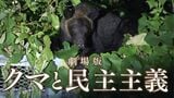『劇場版 クマと民主主義』監督に聞く本作の見どころ 「人の命にもクマの命にも向き合っていなかった」7年の取材で見えた“クマと人の課題”|TBS NEWS DIG