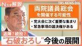石破総理「議席失いお詫び」自民両院議員懇談会で陳謝 物価高対策はいつ…今後の展開は【Nスタ解説】|TBS NEWS DIG