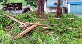 スギの木に落雷、幹が吹き飛ぶ「急にゴロゴロ…ドカーンと…」長野・塩尻市の住宅のスギの木に雷が直撃「稲光が真っ白…振動もすごかった！」住民男性が語る雷の「威力」と「破壊力」|TBS NEWS DIG
