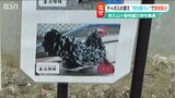 動物園でチャボ死ぬ 別のチャボに入れ替え“死を隠蔽で”職員処分 その理由は? 新潟・長岡市|TBS NEWS DIG