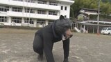 クマが住宅街に出現を想定 花火そして猟銃 警察と猟友会など初の連携訓練 山梨 | 山梨のニュース | UTYテレビ山梨