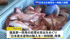 日本産水産物の輸入制限 ロシア検疫当局「中国の措置に参加する」| TBS CROSS DIG with Bloomberg