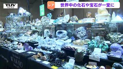 その数20万点以上！世界中から宝石や化石が集まる「山形ミネラル