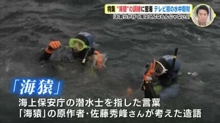 海猿　プロフィール確認お願い 海猿の映画作品一覧 4作品 ｜MOVIE WALKER PRESS 映画