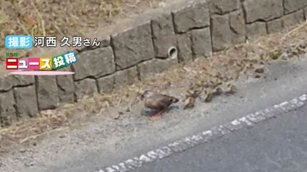 あっ、危ない！」すぐそばを車が 川に向かう途中で離れ離れになった