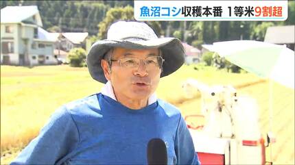 魚沼コシヒカリの9割以上が一等米 “令和の米騒動”解消へ期待