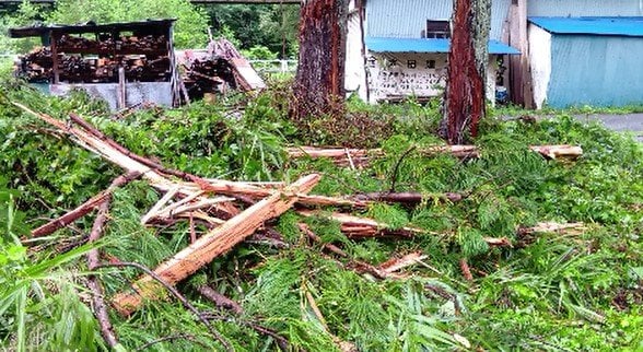 スギの木に落雷、幹が吹き飛ぶ「急にゴロゴロ…ドカーンと…」長野・塩尻市の住宅のスギの木に雷が直撃「稲光が真っ白…振動もすごかった！」住民男性が語る雷の「威力」と「破壊力」　|　SBC NEWS | 長野のニュース | SBC信越放送