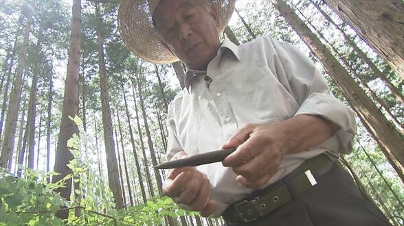 80年前の東京の西の空 日本の戦闘機が体当たり B‐29の墜落現場に残っていた戦争の爪痕 【前編/後編の前編】 | 山梨のニュース | UTYテレビ山梨