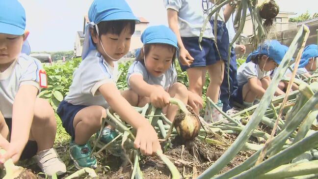 幼稚園児が玉ねぎの収穫を体験 約100個引き抜き歓声 大分|TBS NEWS DIG