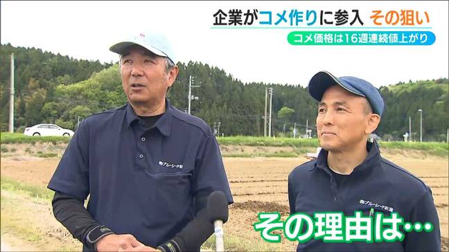 増産決定の一方で減少し続ける米農家「コメが調達できなくなる」農家+米問屋のwin-win連携　新潟県|TBS NEWS DIG