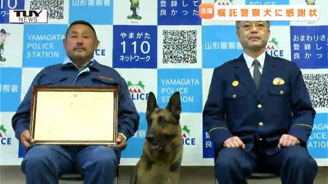人間の年齢で60歳超のベテラン警察犬が男の子を救う! 訓練士と警察犬に感謝状贈呈(山形)|TBS NEWS DIG
