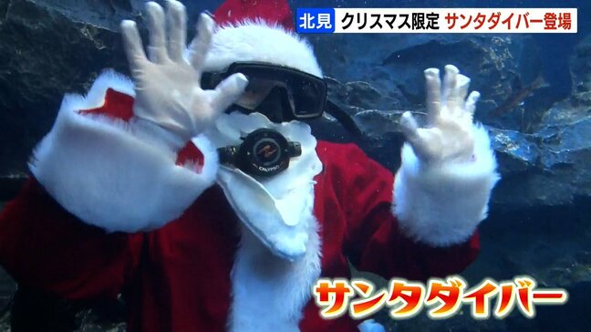 クリスマスシーズン限定 サンタクロース姿のダイバーが登場 北海道北見市「北の大地の水族館」|TBS NEWS DIG