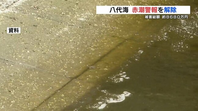 八代海の赤潮警報解除 　12月からアコヤガイ約51万個死ぬ 被害額は約8680万円に　熊本|TBS NEWS DIG