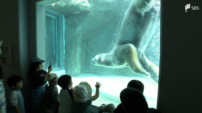 「渋滞がなく非常に良かった」けど…駐車場“完全予約制”で来園者数4割減 ゴールデンウイーク期間中の日本平動物園【静岡】|TBS NEWS DIG
