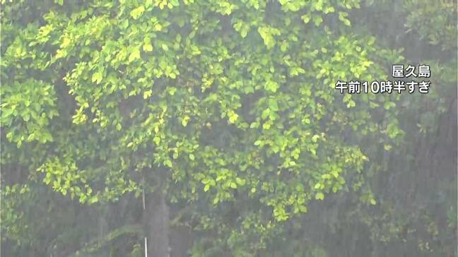 10日夜から11日夜にかけて局地的に激しい雨のおそれ 鹿児島|TBS NEWS DIG