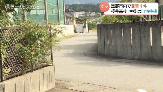 「怖いですよ、やっぱり」市内4か所でクマの目撃情報相次ぐ…付近の高校は午前中の授業取りやめ、3日間は部活動も原則禁止に 富山・黒部市|TBS NEWS DIG