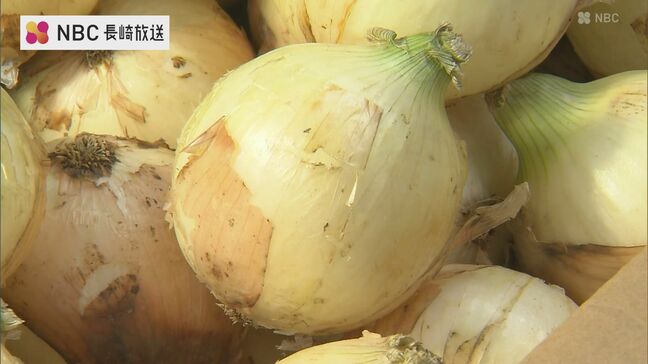 甘い「新たまねぎ」出荷開始 長崎県諫早市長に報告|TBS NEWS DIG