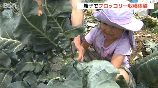 地元の野菜に親しんで♪ 親子170人がブロッコリーの収穫を体験 新潟市西区|TBS NEWS DIG