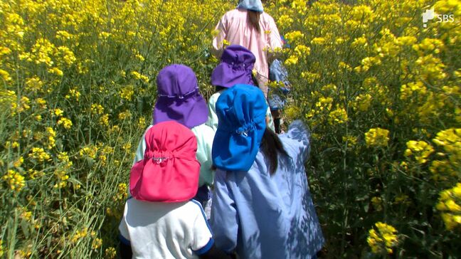 「菜の花に囲まれちゃった」耕作放棄地に“菜の花迷路”が完成 約5000㎡の農地を有効活用 大型連休まで楽しめる=静岡・富士市|TBS NEWS DIG