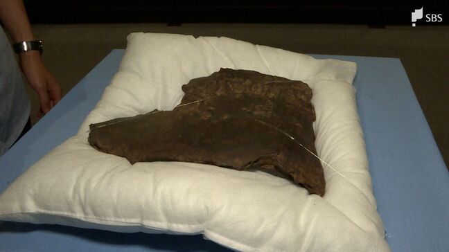 「パンプキン爆弾」の破片も…戦後80年の節目、戦争の記憶を後世に伝える企画展＝静岡・島田市博物館|TBS NEWS DIG