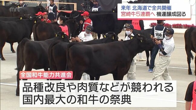 来年 北海道で開催「全国和牛能力共進会」での宮崎牛5連覇に向けて 宮崎県推進協議会の総会|TBS NEWS DIG