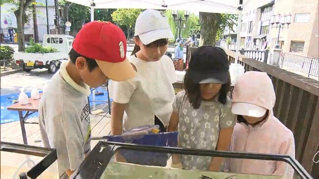 市街地の川に入りごみを拾いながら生きものを観察 小中学生が自然環境や生態系について学ぶ【岡山】|TBS NEWS DIG