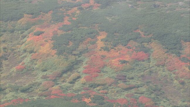 「日本一早い紅葉」北海道・大雪山系でスタート 10日朝の黒岳山頂は0℃まで冷え込む 寒暖差大きく色づきは例年より早く 1週間後には赤と黄色のコントラストへ|TBS NEWS DIG