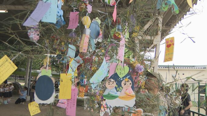 「大きくなったら先生になりたい！」園児が動物園で七夕の飾り付け　|　山口のニュース・天気・防災｜tys NEWS｜ｔｙｓテレビ山口