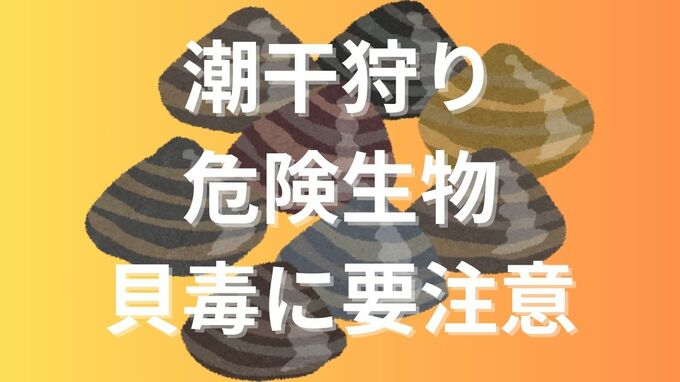 「潮干狩り」で遭遇する可能性のある危険生物や「貝毒」は大丈夫？連休お出かけ前のチェック項目【2025 GW 大潮】|TBS NEWS DIG