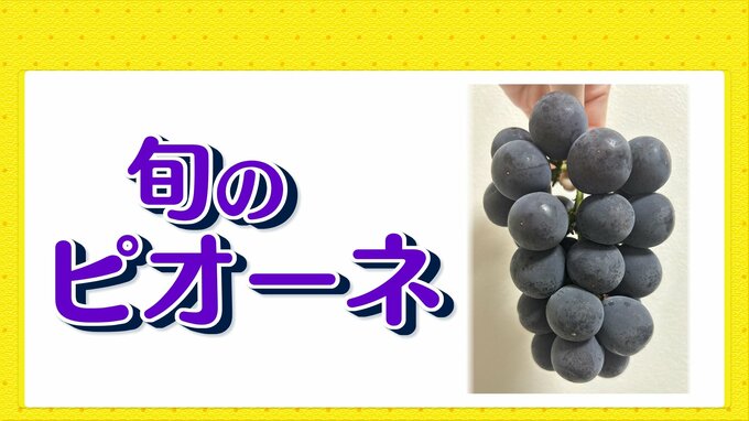 旬のピオーネ　おすすめの保存方法について　|　RCC NEWS | 広島ニュース | RCC中国放送